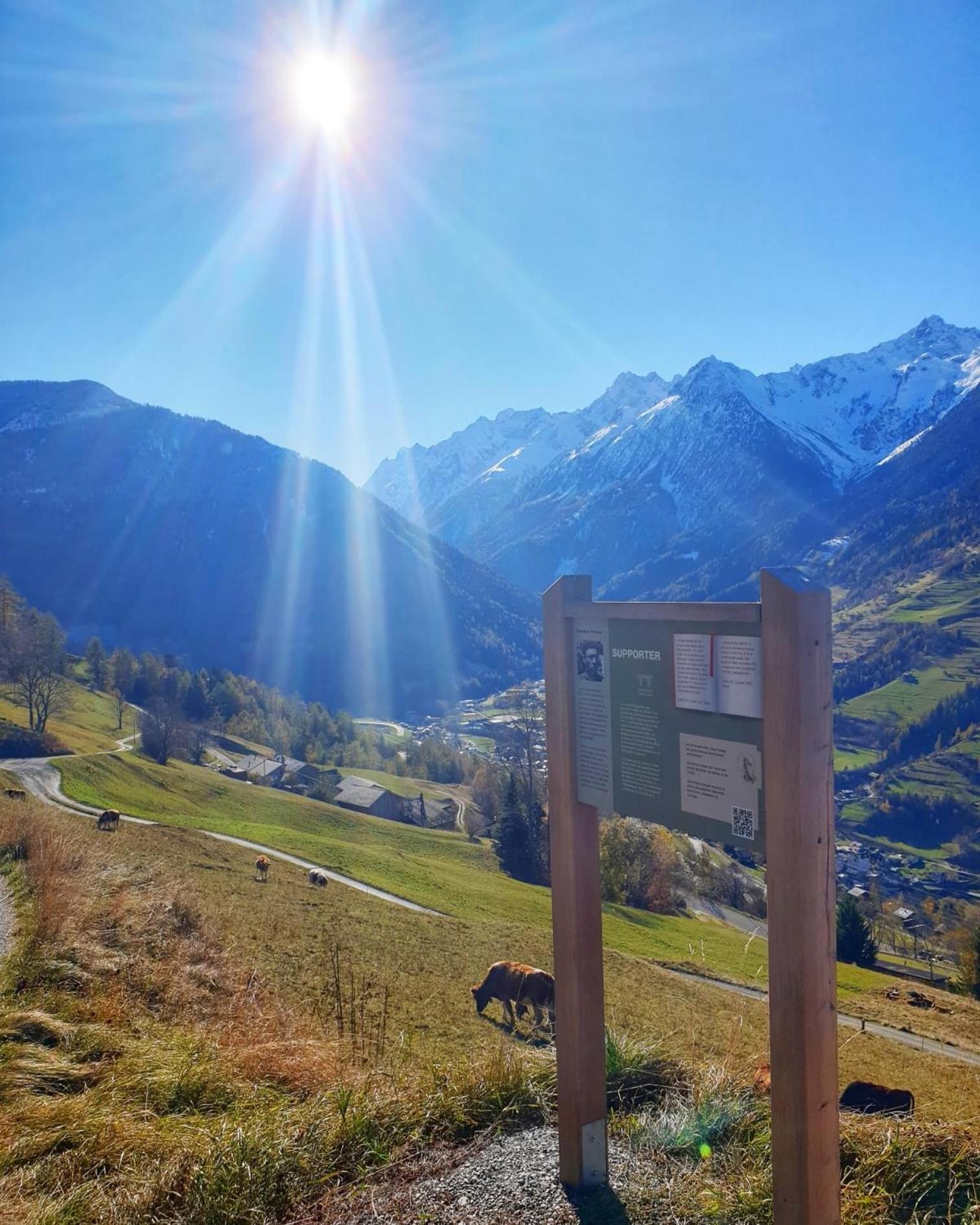 Gite Du Pelerin-Chalet De Montagne Orsières Dış mekan fotoğraf